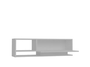 ТВ столик Kalune Design Damla, белый цена и информация | Тумбы под телевизор | hansapost.ee