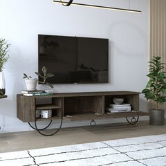 ТВ столик Norfolk, темно-коричневый цена и информация | Тумбы под телевизор | hansapost.ee