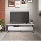 TV-laud Kalune Design 855(I), valge цена и информация | Televiisori alused | hansapost.ee