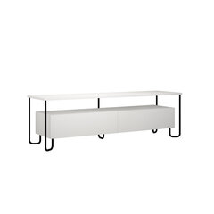 ТВ столик Kalune Design 855(I), белый цена и информация | Тумбы под телевизор | hansapost.ee