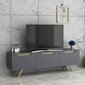 TV-laud Kalune Design 382, 150 cm, hall цена и информация | Televiisori alused | hansapost.ee