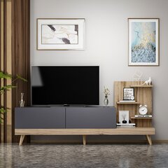 TV-laud Kalune Design 382, 180 cm, hall/pruun hind ja info | Televiisori alused | hansapost.ee