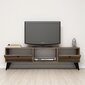 TV-laud Kalune Design 389, 139 cm, pruun hind ja info | Televiisori alused | hansapost.ee