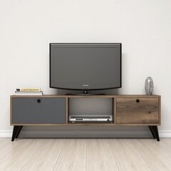 TV-laud Kalune Design 389, 138 cm, pruun/hall price and information | Television bases | hansapost.ee