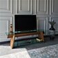 TV-laud Kalune Design 552(I), pruun цена и информация | Televiisori alused | hansapost.ee