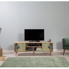 TV-laud Kalune Design 863(I), roheline/tamme värv hind ja info | Televiisori alused | hansapost.ee