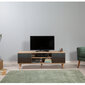 TV-laud Kalune Design 863(I), tumesinine/tamme värv цена и информация | Televiisori alused | hansapost.ee