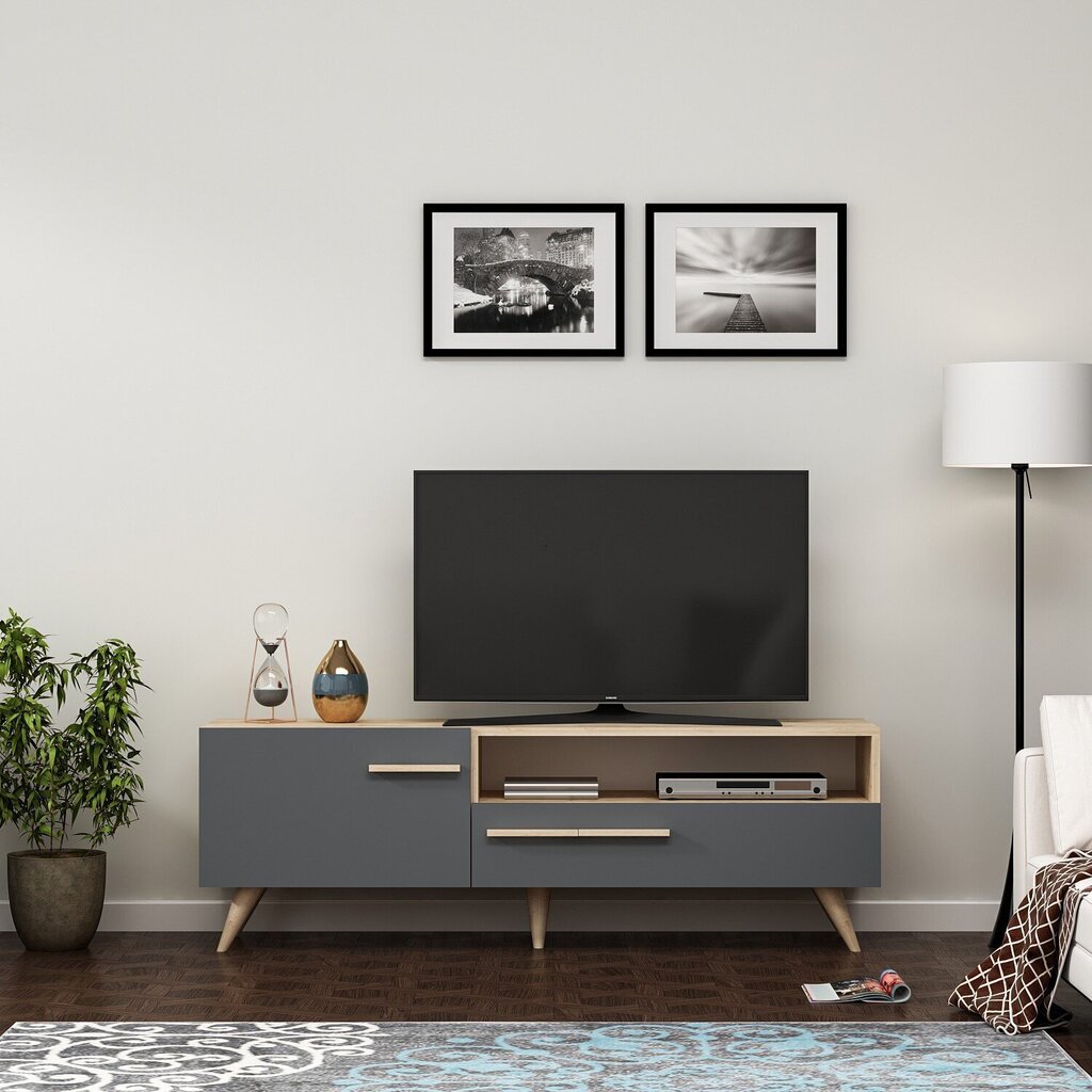 TV-laud Kalune Design Zera, hall/pruun hind ja info | Televiisori alused | hansapost.ee