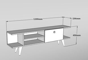 ТВ столик Kalune Design Idil, белый/коричневый цена и информация | Тумбы под телевизор | hansapost.ee