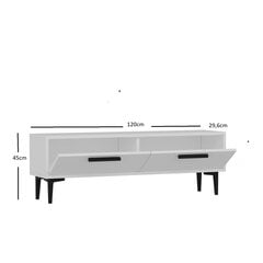 ТВ столик Kalune Design Leni, белый цена и информация | Тумбы под телевизор | hansapost.ee