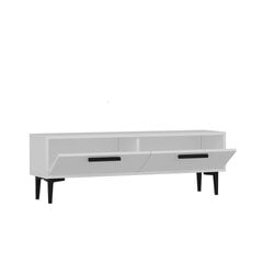 ТВ столик Kalune Design Leni, белый цена и информация | Тумбы под телевизор | hansapost.ee