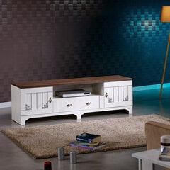TV-laud Kalune Design Gazel 170Lk, valge/pruun hind ja info | Televiisori alused | hansapost.ee