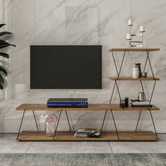 ТВ столик Kalune Design Ilgaz, коричневый цена и информация | Тумбы под телевизор | hansapost.ee