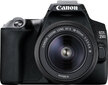 Canon EOS 250D + 18-55mm Kit, must hind ja info | Fotoaparaadid | hansapost.ee