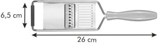 Tescoma терка с ручкой цена и информация | Столовые и кухонные приборы | hansapost.ee