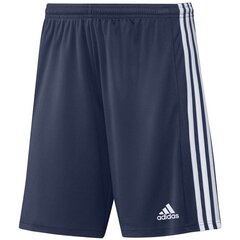 Meeste lühikesed püksid Adidas Squadra 21 Short M GN5775, sinine hind ja info | Lühikesed püksid meestele | hansapost.ee