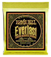 Keeled akustilisele kitarrile Ernie Ball Everlast 0.012-0.054 hind ja info | Ernie Ball Kodumasinad | hansapost.ee