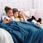 Amelia Home pleed Shleepy 170x210 cm цена и информация | Pleedid, voodikatted ja päevatekid | hansapost.ee