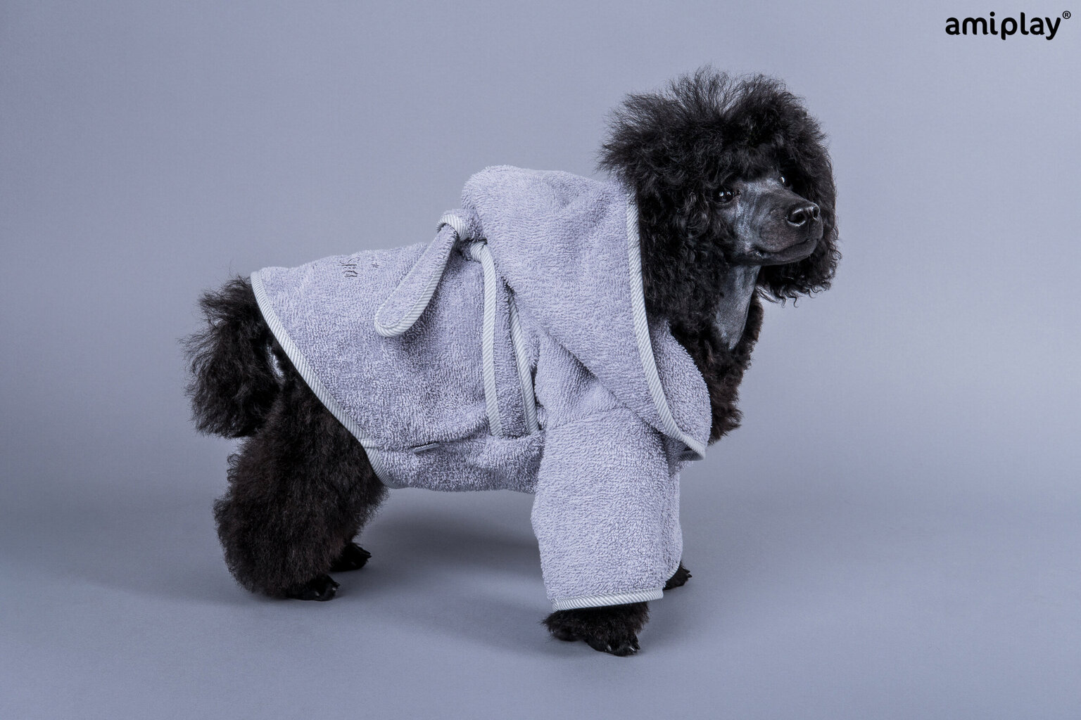 Koerte hommikumantel Amiplay SPA Grey, 50 cm hind ja info | Hooldus/grooming | hansapost.ee