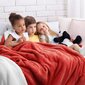 Amelia Home pleed Shleepy 70x150 cm цена и информация | Pleedid, voodikatted ja päevatekid | hansapost.ee