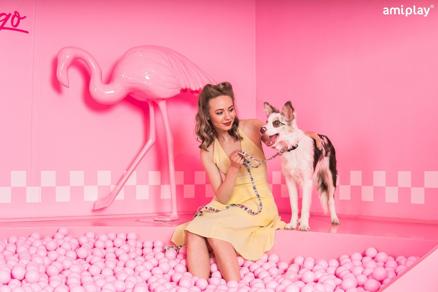 Amiplay jalutusrihm Be Happy Flamingo, S hind ja info | Jalutusrihmad koertele | hansapost.ee