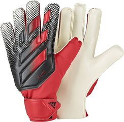 Вратарские перчатки Adidas X Lite DN8536 цена и информация | Перчатки вратаря | hansapost.ee
