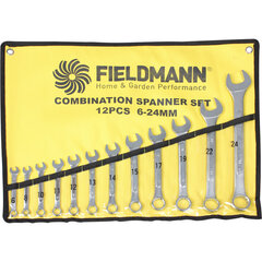 Mutrivõtmete komplekt Fieldmann FDN 1010, 12 osa price and information | Hand tools | hansapost.ee