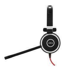 Jabra Evolve 40 UC Mono 6393-829-209  цена и информация | Наушники | hansapost.ee