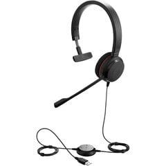 Проводные наушники Jabra Evolve 20 UC Mono цена и информация | Наушники | hansapost.ee