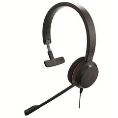 Jabra Evolve 20 Mono MS 4993-823-109  цена и информация | Наушники Спортивные Наушники Для Бизнеса Тренажерный Зал Плавание Бег Черный | hansapost.ee