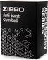 Võimlemispall Zipro koos pumbaga, must цена и информация | Võimlemispallid | hansapost.ee