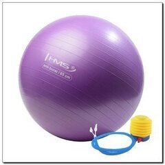 Гимнастический мяч HMS, Фиолетовый цена и информация | Гимнастические мячи | hansapost.ee