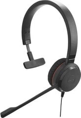 Jabra Evolve 20 MS цена и информация | Наушники | hansapost.ee