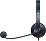 Razer RZ04 Black RZ04-02920200-R3G1 hind ja info | Kõrvaklapid | hansapost.ee