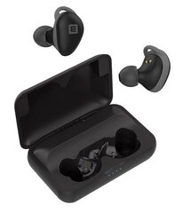 Evelatus Bluetooth Earbuds 2 EBE02, Черного цвета цена и информация | Наушники | hansapost.ee