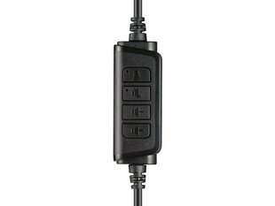 Sandberg 126-16 USB Chat Headset цена и информация | Наушники | hansapost.ee