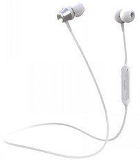 CELLY BLUETOOTH STEREO EARPHONES WHITE hind ja info | Kõrvaklapid | hansapost.ee