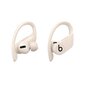 Powerbeats Pro Totally Wireless Earphones Ivory - MY5D2ZM/A цена и информация | Kõrvaklapid | hansapost.ee