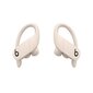 Powerbeats Pro Totally Wireless Earphones Ivory - MY5D2ZM/A цена и информация | Kõrvaklapid | hansapost.ee