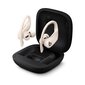 Powerbeats Pro Totally Wireless Earphones Ivory - MY5D2ZM/A цена и информация | Kõrvaklapid | hansapost.ee