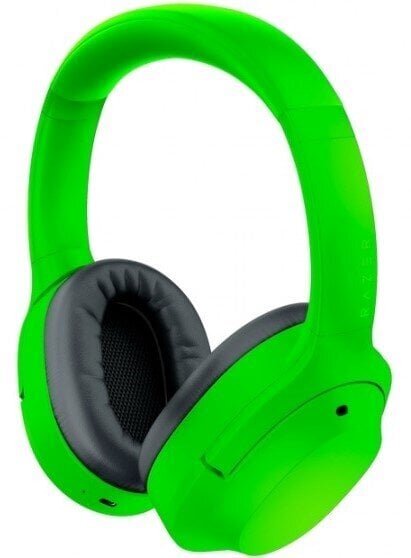 Razer RZ04-03760400-R3M1 цена и информация | Kõrvaklapid | hansapost.ee