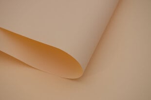 Рулонные шторы Klasika Decor, 100x170 см цена и информация | Рулонные шторы | hansapost.ee