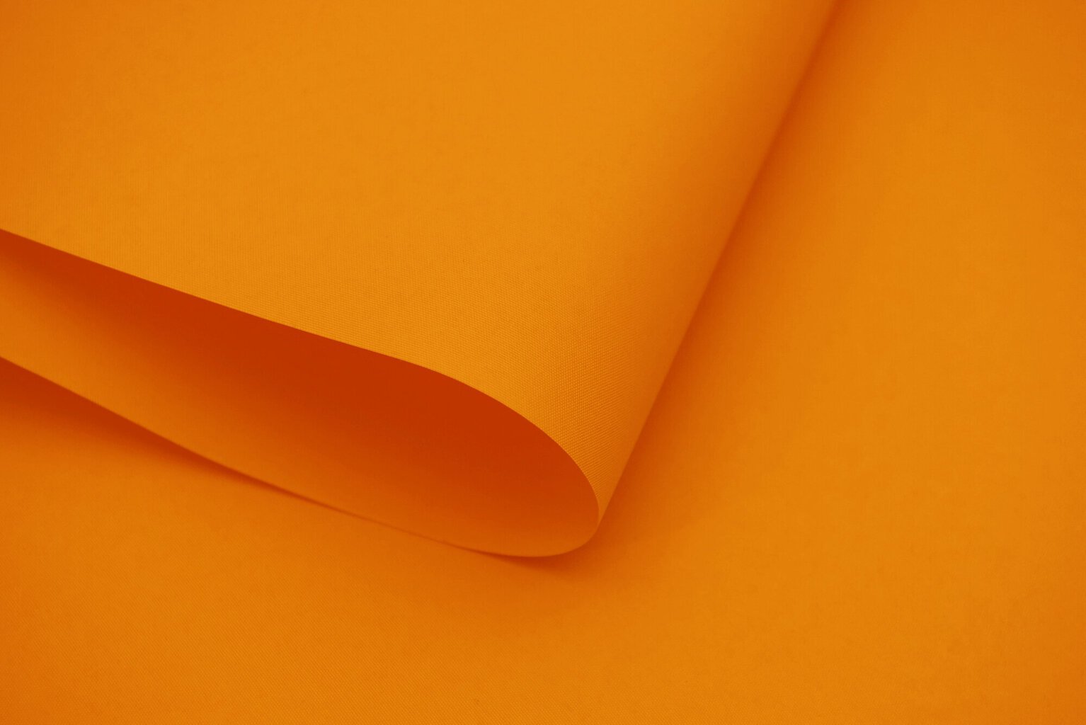 Seinapealne ruloo koos tekstiiliga Dekor 200x170 cm, d-06 oranž цена и информация | Rulood | hansapost.ee