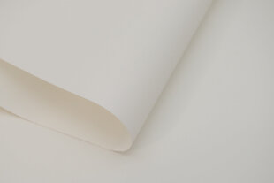 Seinapealne ruloo koos tekstiiliga Dekor 100x170 cm, d-01 valge цена и информация | Рулонные шторы | hansapost.ee