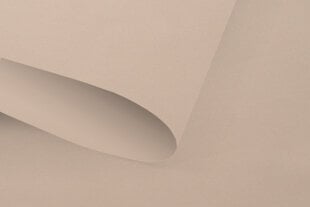 Valguskindel seinapealne ruloo Blackout 130x170 cm, pg-12 beež цена и информация | Рулонные шторы | hansapost.ee