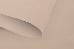 Valguskindel seinapealne ruloo Blackout 150x170 cm, pg-12 beež hind ja info | Rulood | hansapost.ee