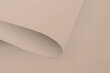 Valguskindel seinapealne ruloo Blackout 160x170 cm, pg-12 beež цена и информация | Rulood | hansapost.ee