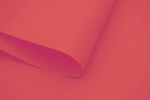 Настенный тканевый ролет Dekor 220x170 см, d-09 красный цена и информация | Рулонные шторы | hansapost.ee