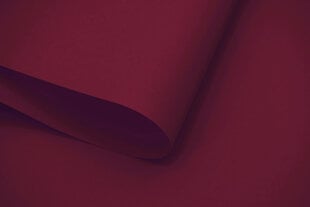 Настенный тканевый ролет Dekor 100x170 см, d-10 красный цена и информация | Рулонные шторы | hansapost.ee