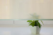 Seinapealne ruloo koos tekstiiliga Dekor 120x170 cm, d-11 roheline цена и информация | Rulood | hansapost.ee